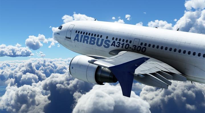 Image du produit Microsoft Flight Simulator 2024 (Xbox Series X, PC, Xbox Series S, DE)