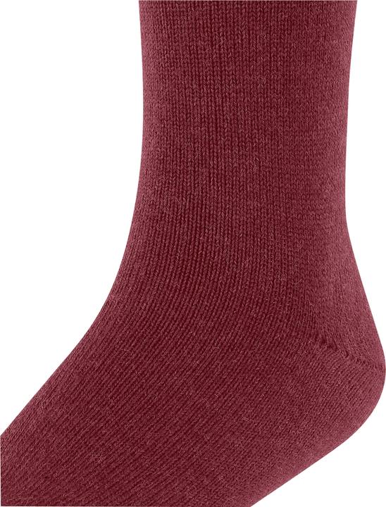 Immagine prodotto Falke Comfort Wool KH (31 - 34)
