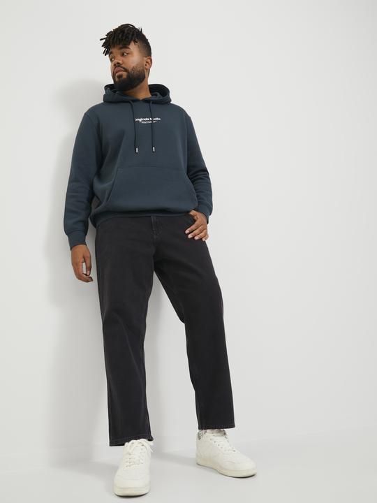 Actual product image Jack & Jones Jjichris Jjorignial Mf 912 Noos Pls (46)