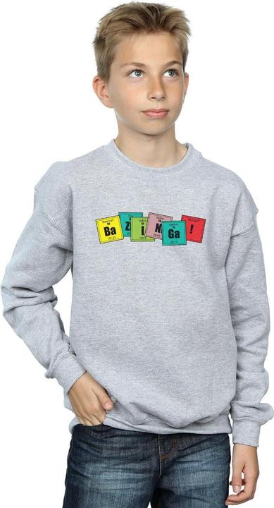 Actual product image Dam Boys Bazinga Elements Sweatshirt (140, 146)