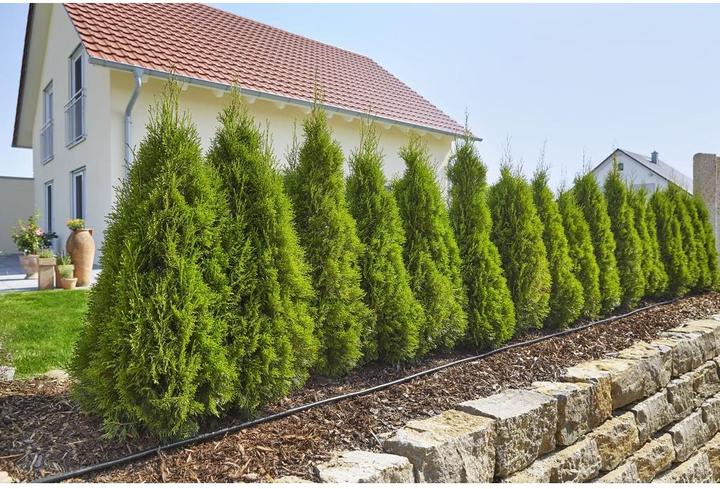 Produktbild Gardena MDS Tropfrohr oberirdisch (Tropfschlauch + Tropfrohr)