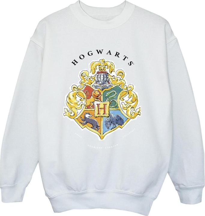 Produktbild Hogwarts School Emblem Sweatshirt Jungen (140, 146)
