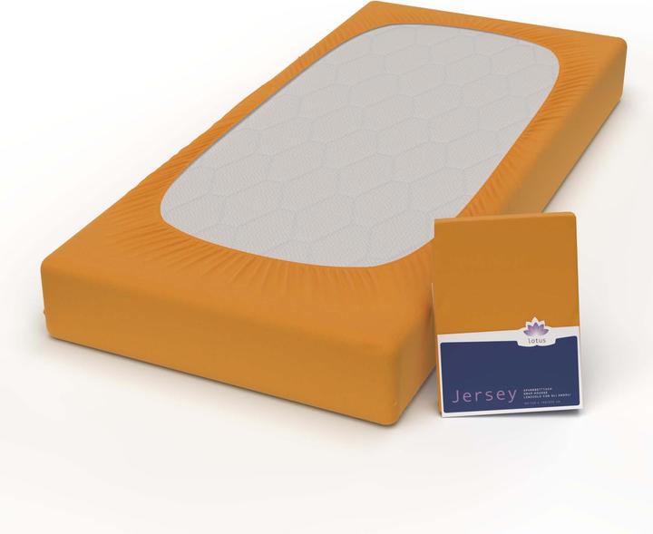 Actual product image Lotus Bettwaren Jersey Fix Comfort (90 x 200 cm)