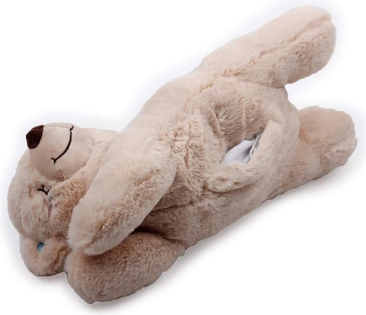 Actual product image All for Paws Little Buddy Warm Bear Dog Toy (Plush toy dog)