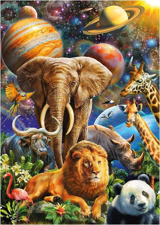 Actual product image Schmidt Spiele Wonderful universe (1000 pieces)
