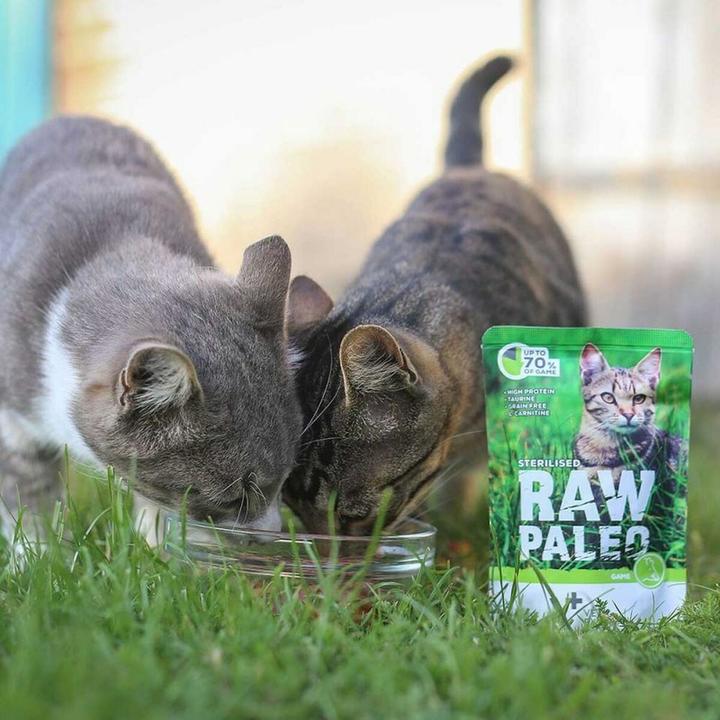 Produktbild Vetexpert Raw Paleo Sterilised Cat Game Pouch 100g (Adult, 1 Stk., 100 g)