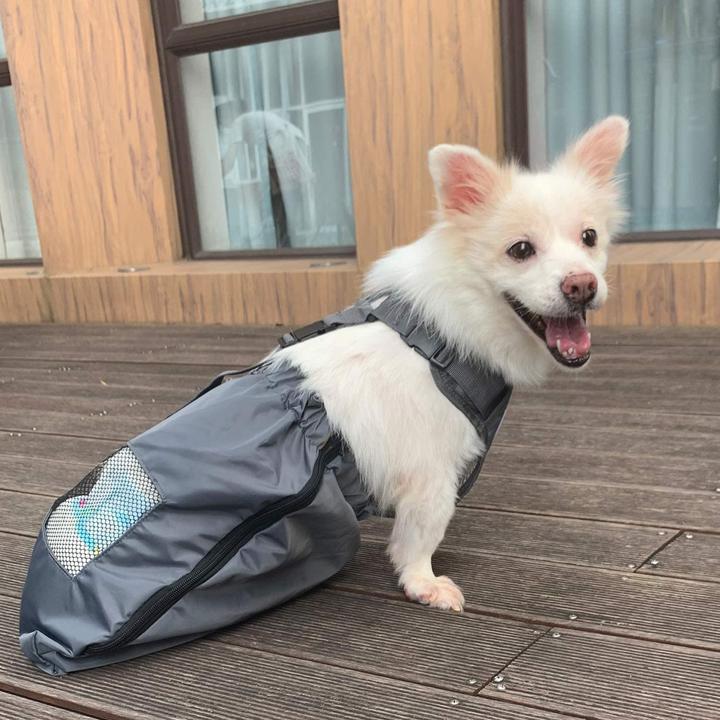 Actual product image DerYEP Dog scooter XS (XS, Dog, Cat, General)