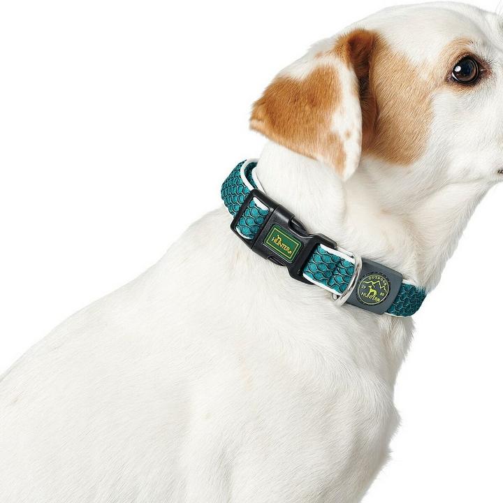 Produktbild Hunter Hundehalsband Hilo Vario Basic (S, M, Hund, Allgemein)