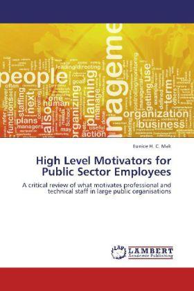 Actual product image High Level Motivators for Public Sector Employees (Eunice H. C. Mak, 2012)