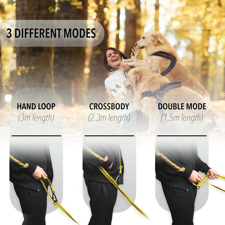 Image du produit Bluzelle Laisse double (XL, Chien, Promenade)