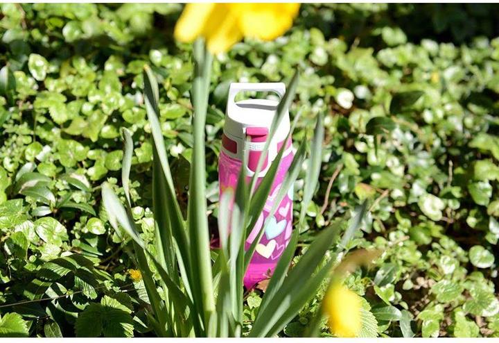 Image du produit Sigg Viva One (0.50 l)