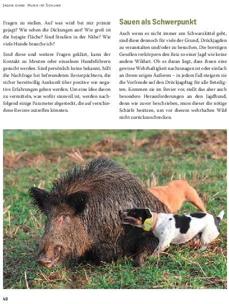 Produktbild Drückjagd (Deutsch, Peter Diekmann, 2021)