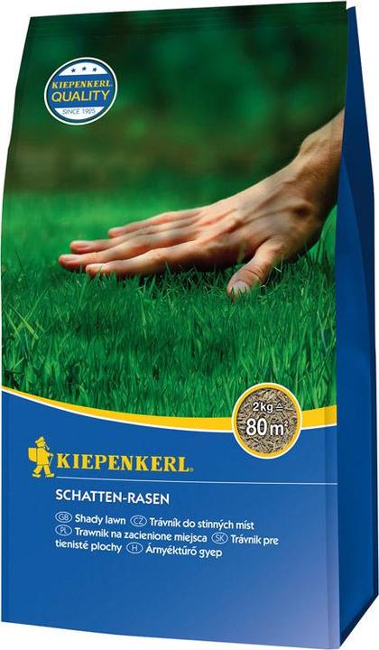 Kiepenkerl Kiep. Schaduw gazon