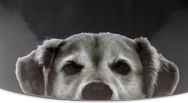 Image du produit Karlie Gamelle pour chien en céramique (1.50 l)