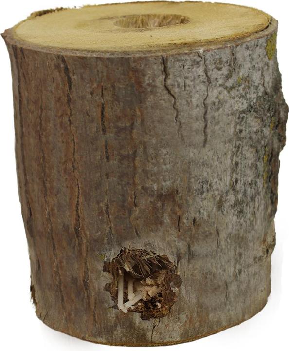 Produktbild Natura Punto Schwedenfeuer Baumstammfackel 18 x 18 cm