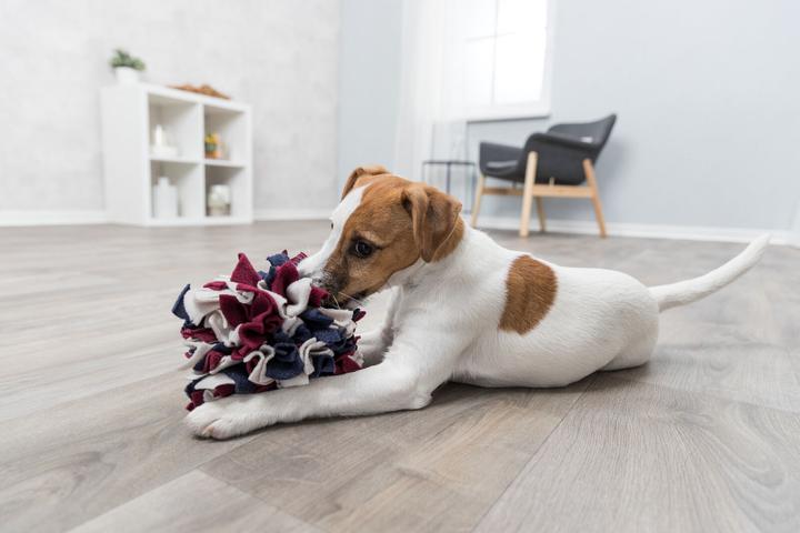 Produktbild Trixie Schnüffelball (Intelligenzspielzeug Hund)