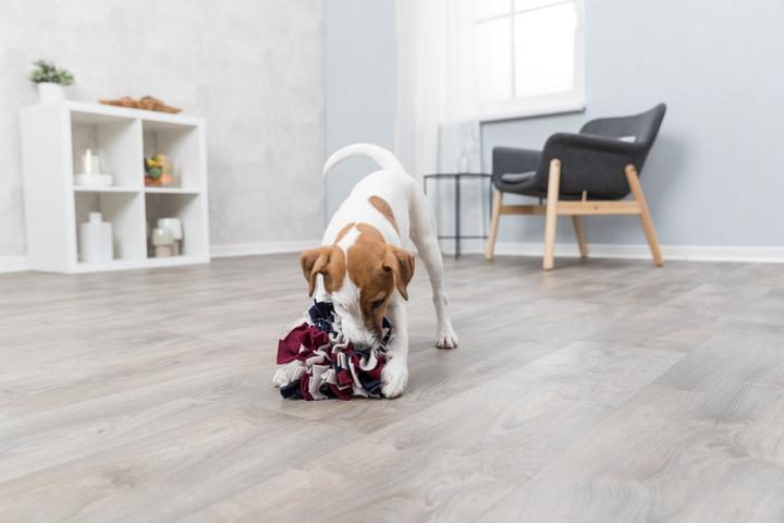 Produktbild Trixie Schnüffelball (Intelligenzspielzeug Hund)