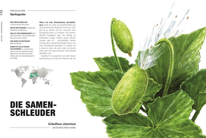 Actual product image Kuriose Pflanzen (German, Michael Perry, Reinhard Ferstl, DK Publishing House, 2023)
