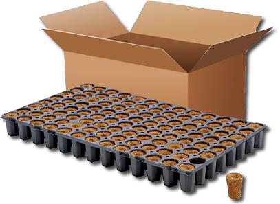 Immagine prodotto HGA Cubo di coltivazione CT104C