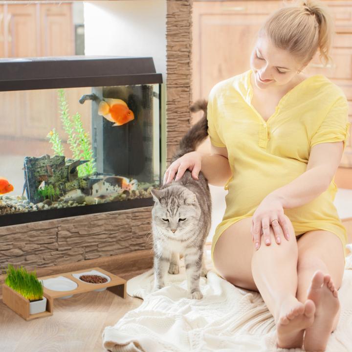 Actual product image Relaxdays Cat feeding station (0.40 l)