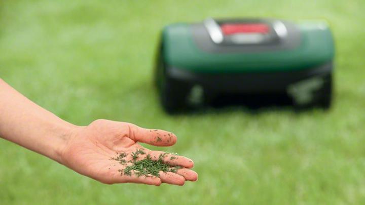 Image du produit Bosch Home & Garden Indego S 500 (500 m²)