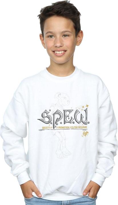 Image du produit - Sweat DOBBY ELFISH WELFARE - Garçon (152, 158)