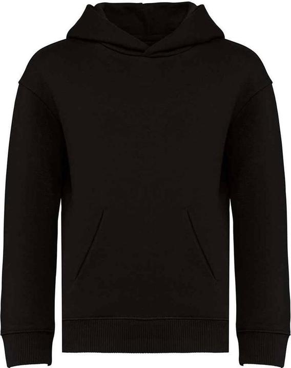 Actual product image Native Spirit Childrens/Kids Hoodie (110, 116, 115 A)