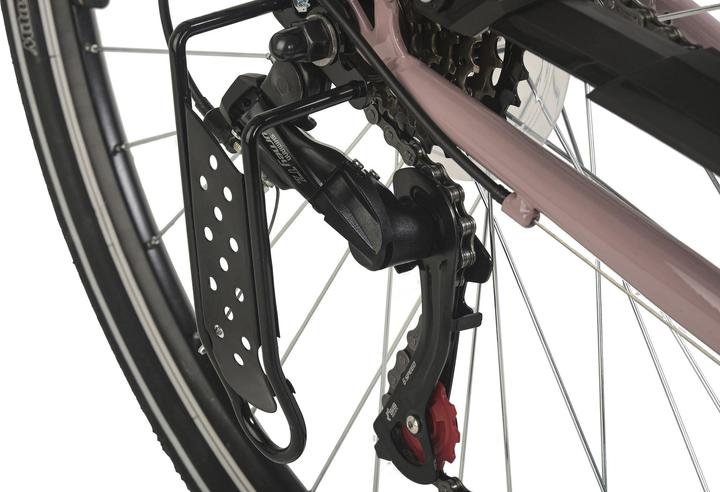 Immagine prodotto Hollandia Bicicletta olandese da donna 28" City Next RH 50 cm 6 marce (50 cm)