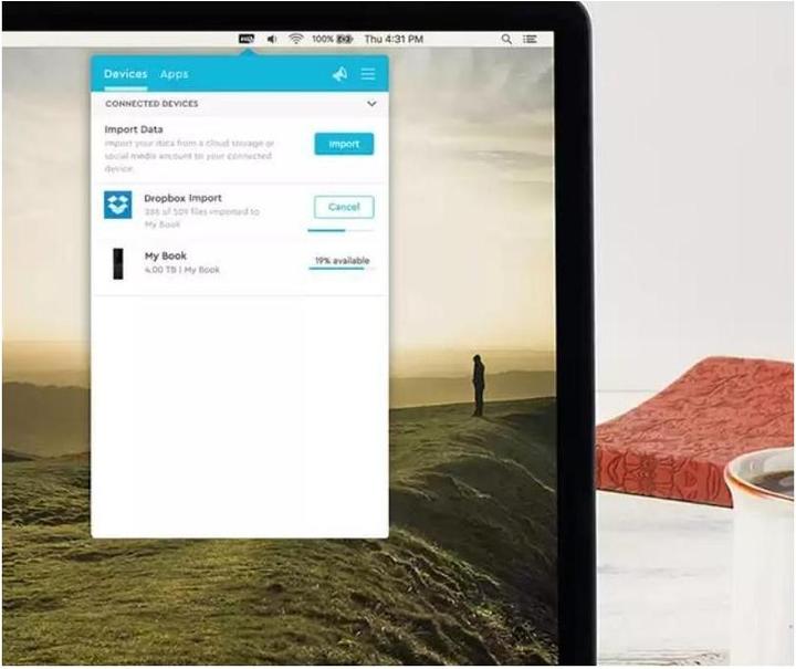Actual product image WD My Book (14 TB)