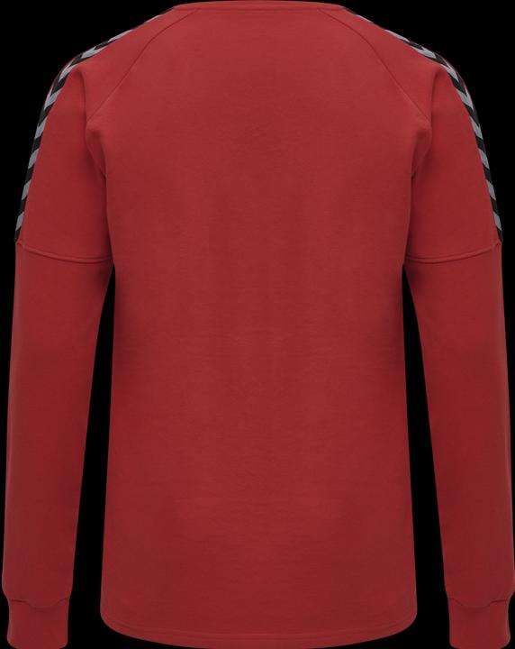 Actual product image hummel Authentic Training Sweat (S)