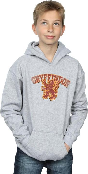 Image du produit - Sweat à capuche GRYFFINDOR SPORT EMBLEM - Garçon (128)