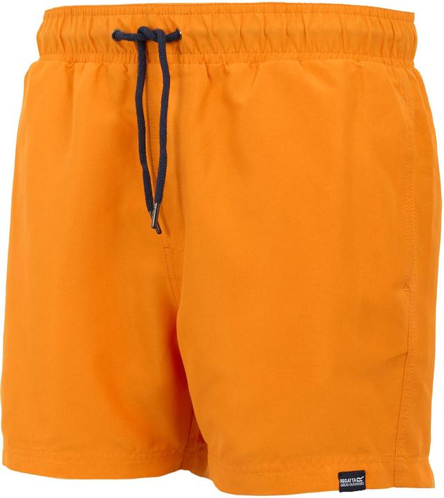 Actual product image Regatta Mens Mawson II Swim Shorts (S)