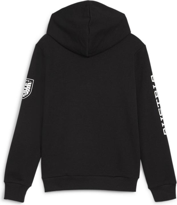 Actual product image Puma ÖFB Ftblicons Hoody Jr (164)