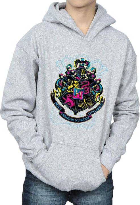 Actual product image Boys Neon Hogwarts Crest Hoodie (128)
