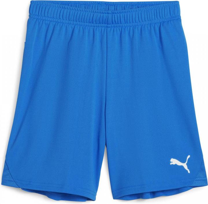 Actual product image Puma teamGOAL Shorts Jr (116)