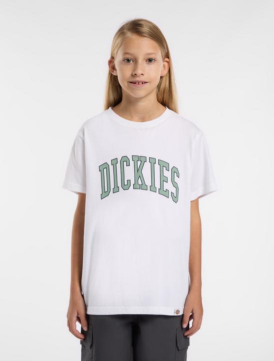 Actual product image Dickies Aitkin Tee SS K (S)