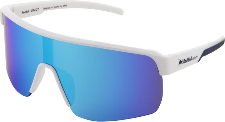 Actual product image Red Bull Spect Dakota