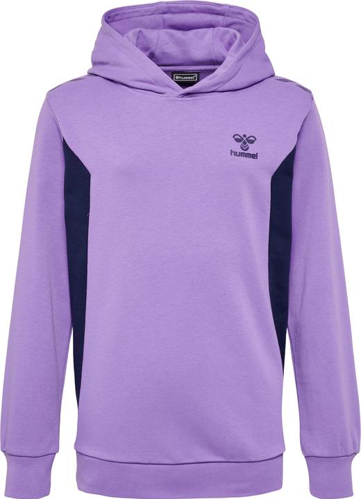 Image du produit hummel Hmlstaltic Cotton Hoodie Kids (176)