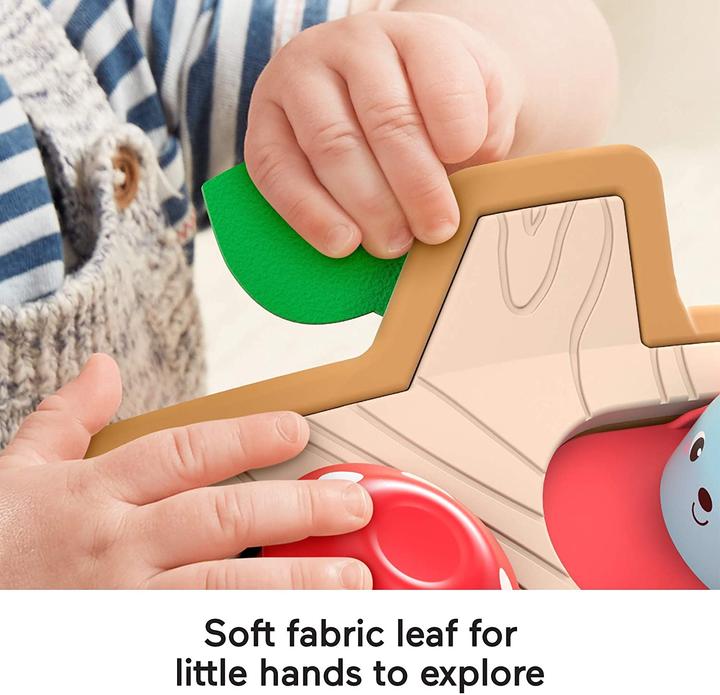Actual product image Fisher-Price Peekaboo (German)