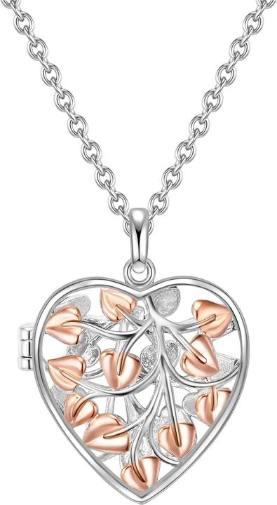 Produktbild Rafaela Donata Damen Herz Sterling Silber silber/roségold 42,0 cm Basiskette + 7,0 cm Verlängerung - 11706 (Sterling Silber, 42 - 49 cm)