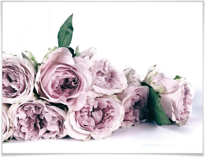 Produktbild Trenddeko Violette Pfingstrosen (30 x 24 cm)
