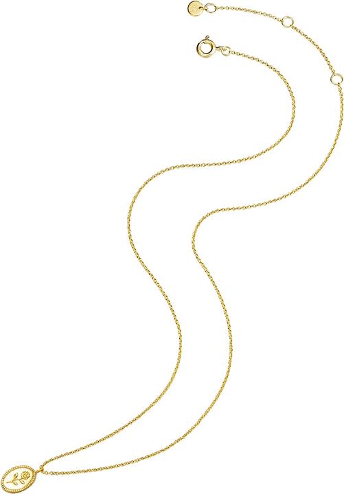 Immagine prodotto Glanzstücke München Catena da donna in argento giallo 45,0 cm + 5,0 cm di estensione - 26797 (Argento, 45 - 50 cm)
