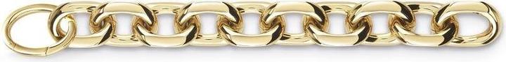 Produktbild Guess Ladies' Bracelet JUBB02116JWYGS 20 cm (20 cm)