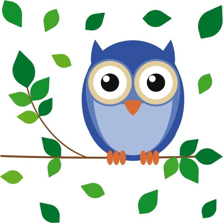 Image du produit Trenddeko Hibou Einstein (110 x 110 cm)