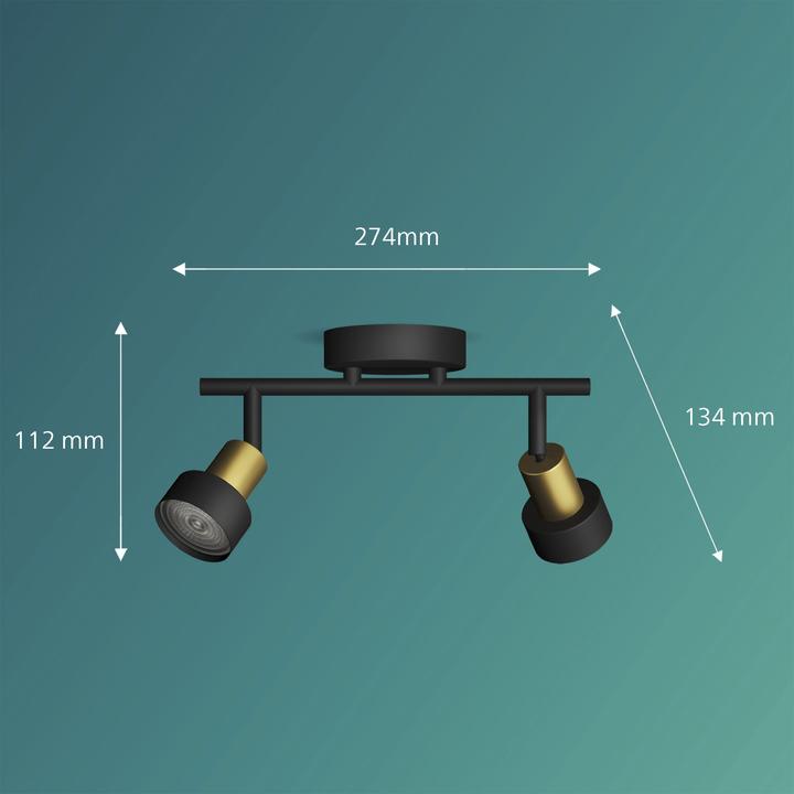 Produktbild Philips Conduit (GU10)