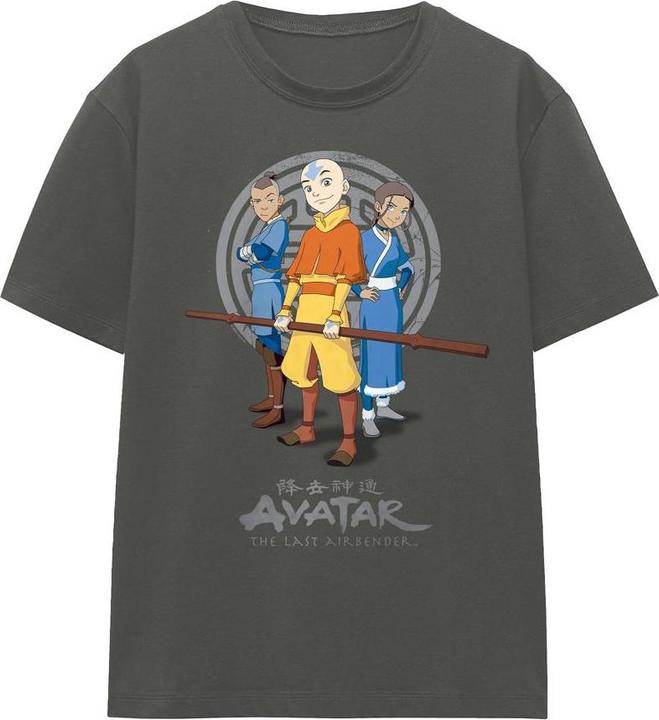 Actual product image Avatar: The Last Airbender Unisex Adult Team Avatar T-Shirt (XXL)