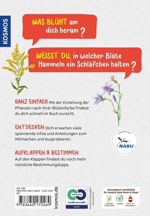 Produktbild Kosmos Was blüht denn da? Kindernaturführer (Deutsch, Heike Herrmann, Ursula Stichmann-Marny, 2022)