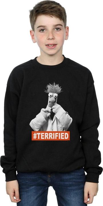Image du produit Disney - Sweat THE MUPPETS BEAKER TERRIFIED - Garçon (128)