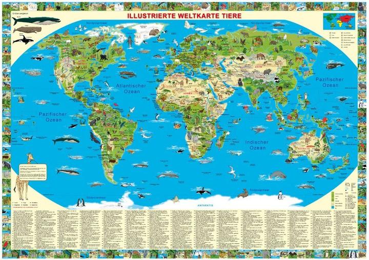 Actual product image Illustrated world map animals, poster map