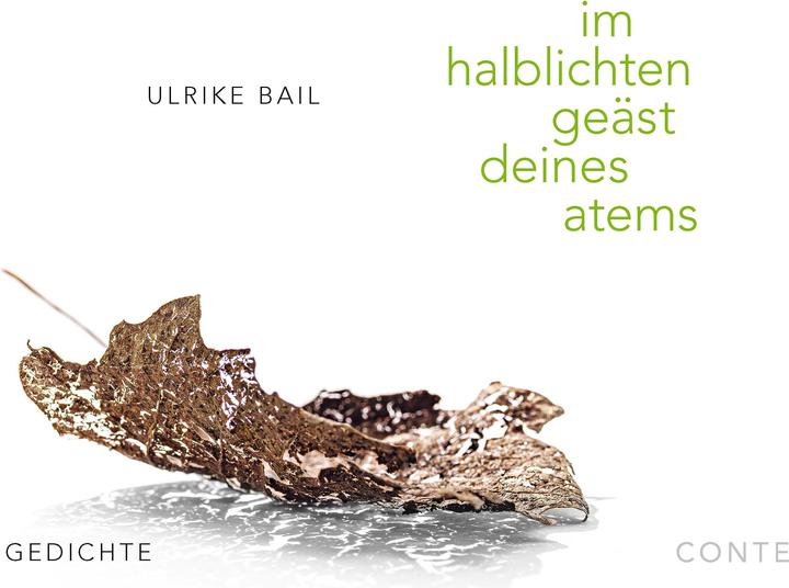 Image du produit im halblichten geäst deines atems (Allemand, Ulrike Bail, 2023)